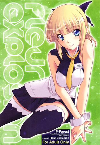 Fleur Explosion cover
