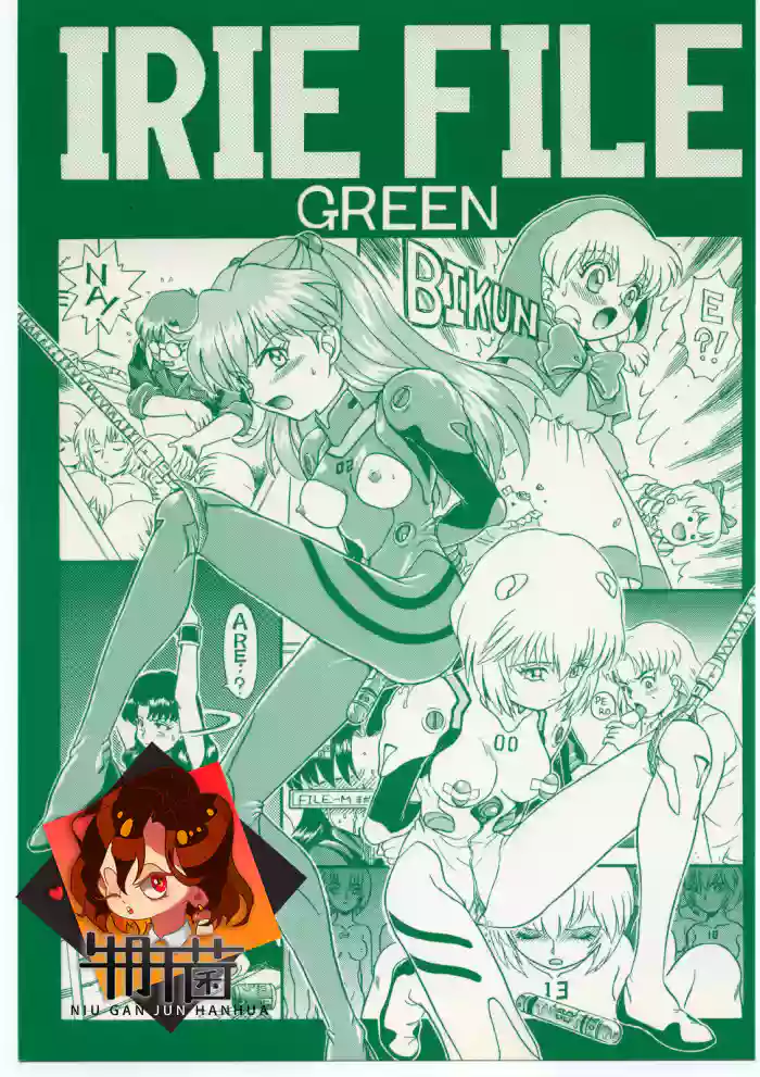 IRIE FILE GREEN cover