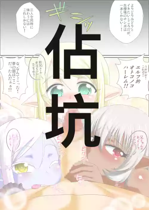 Itsudemo Ore wa Otokonoko Elf to Ecchi ga Shitainda!!!