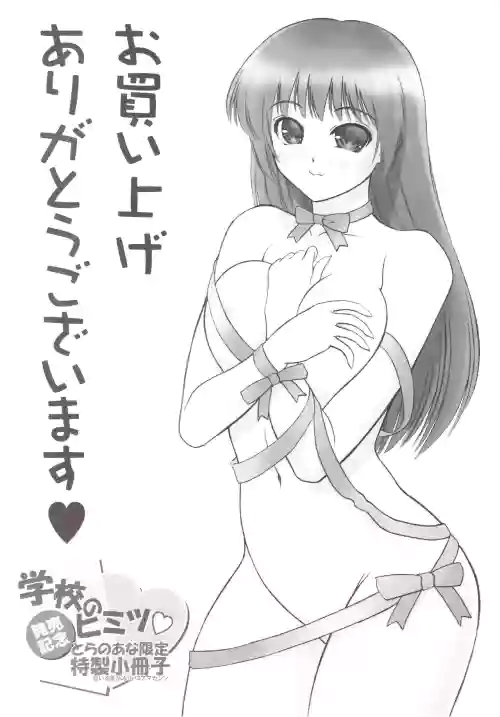 Gakko No Himitsu Toranoana Gentei Tokusei Shousasshi