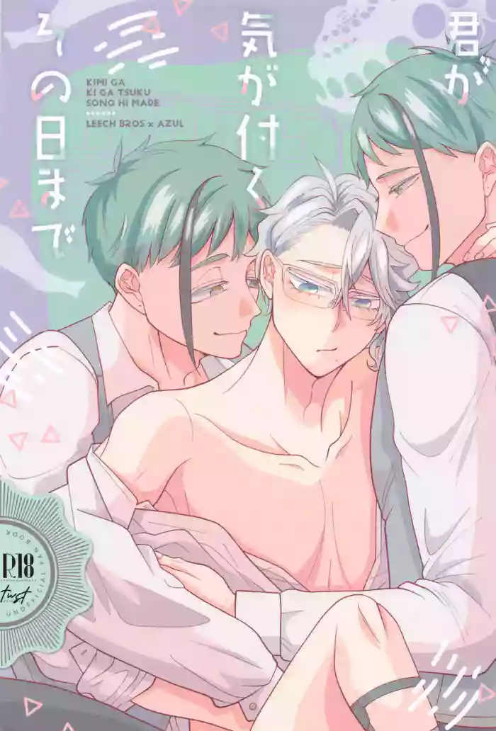 Kimi ga Ki ga Tsuku Sono Hi made cover