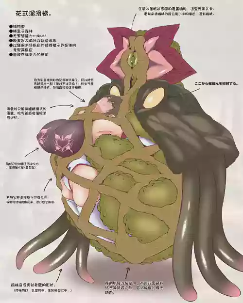 魔物図鑑18「華達磨」