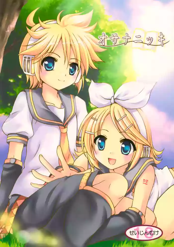 Osananikki cover