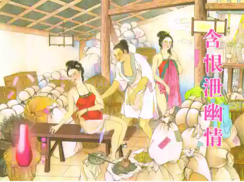 金瓶梅全传 五十 含恨泄幽情