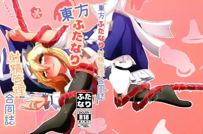 Touhou Futanari Shaseikanri Goudoushi cover