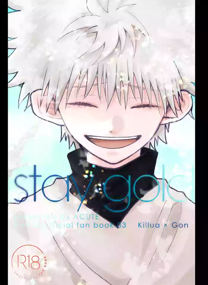 stay gold cover