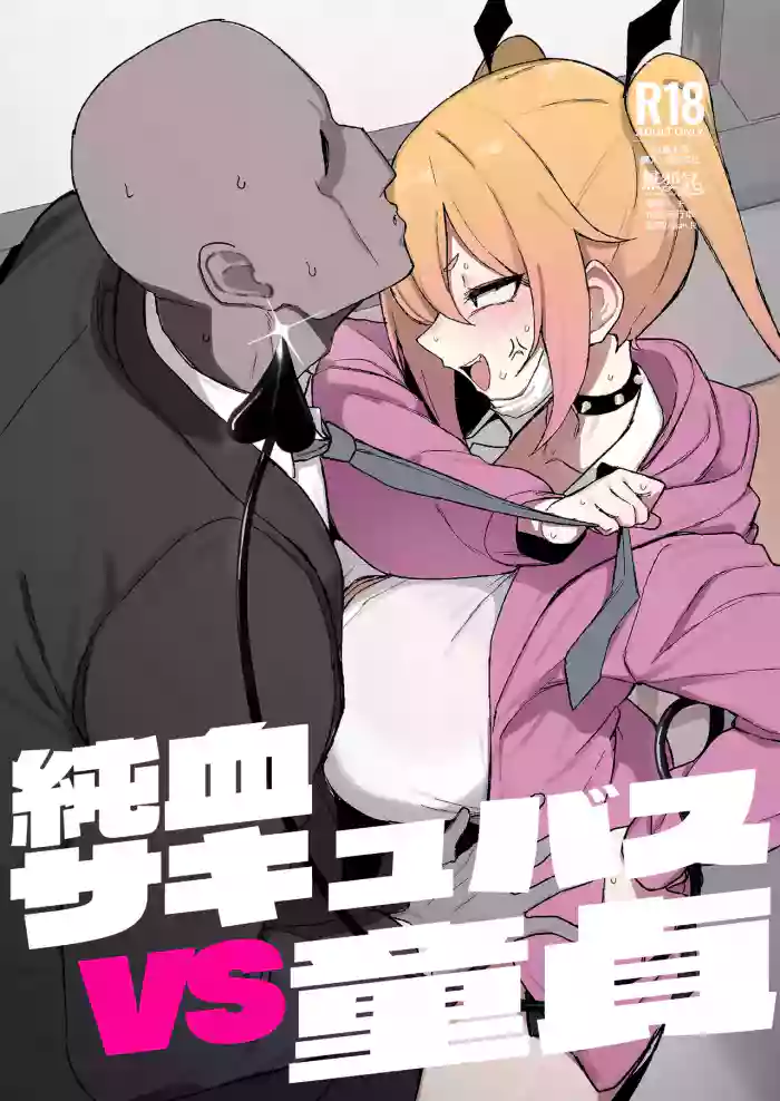 Junketsu Succubus vs Doutei cover
