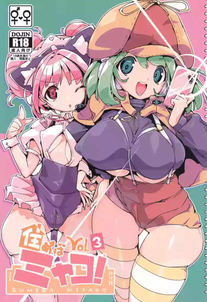 SUMEBA MIYAKO! Vol. 3 cover