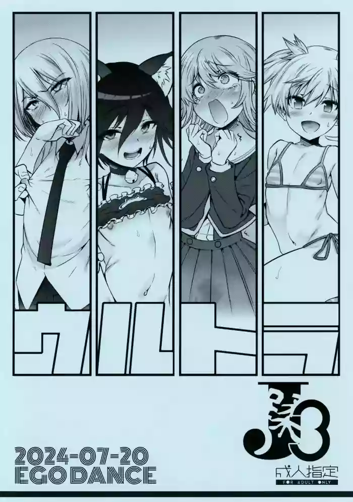 Ultra J3 cover