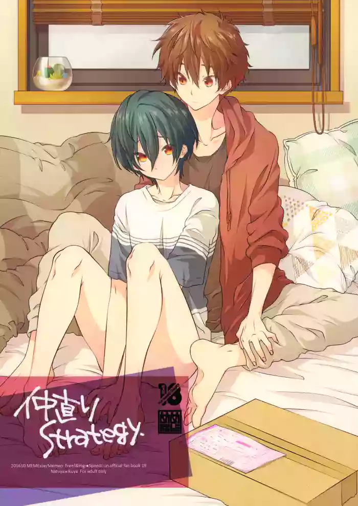 Nakanaori Strategy cover