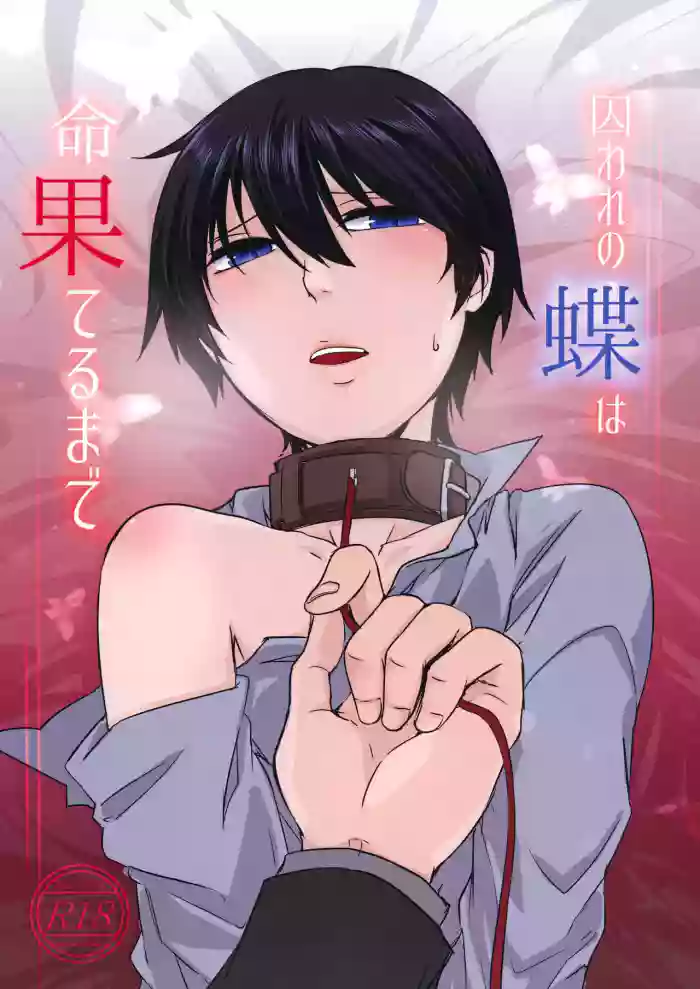 Toraware no Chou wa Inochi Hateru Made cover