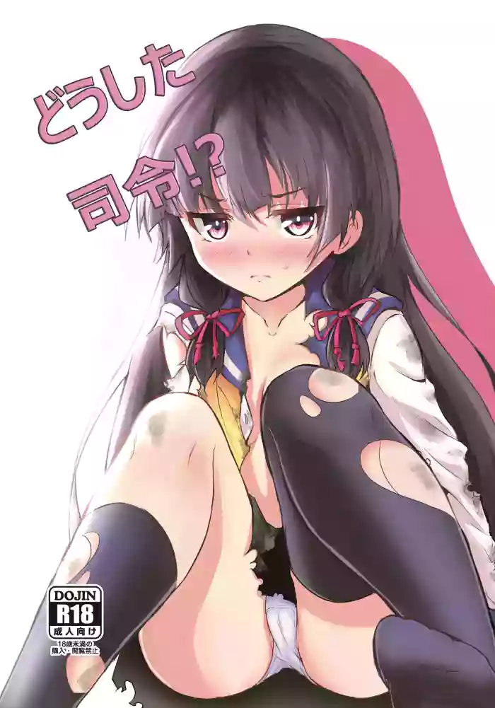 Doushita Shirei!? cover