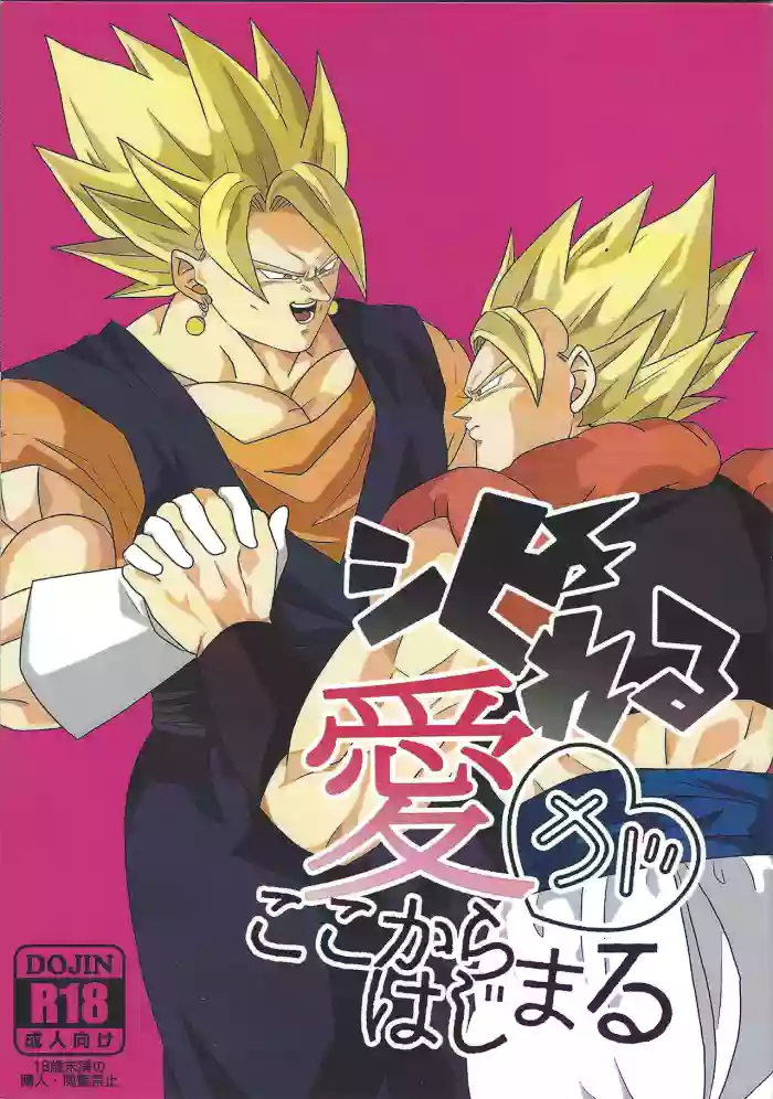 Shibireru ai ga koko kara hajimaru cover