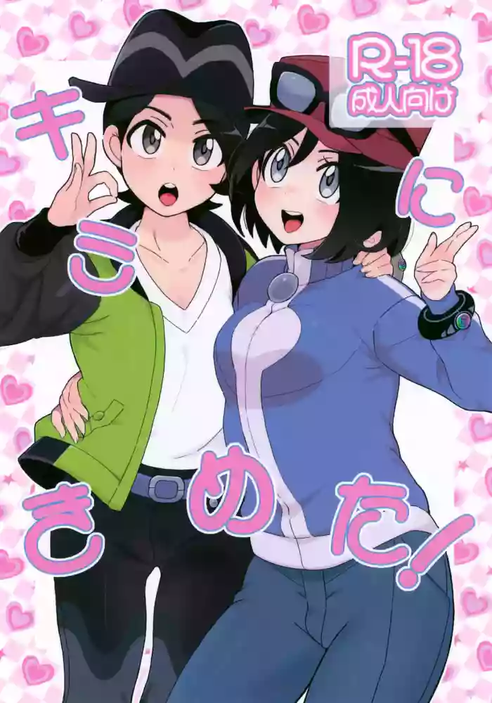 Kimi ni Kimeta! cover