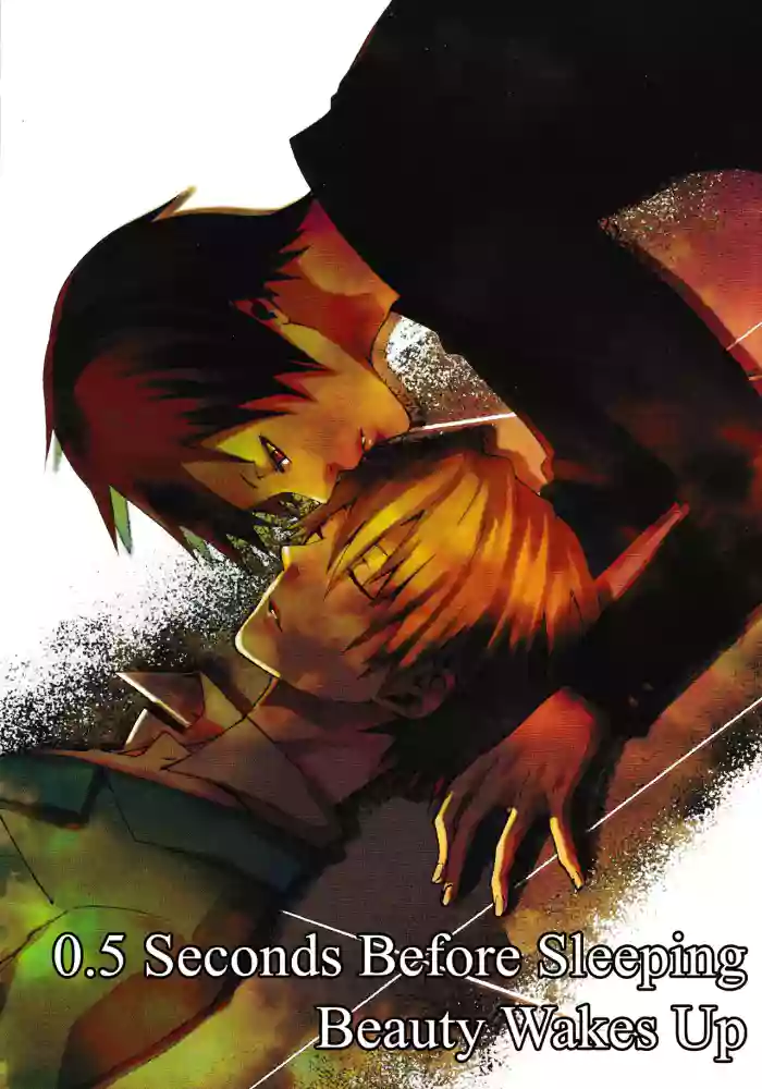 0.5 Seconds Before Sleeping Beauty Wakes Up – Durarara!! dj cover