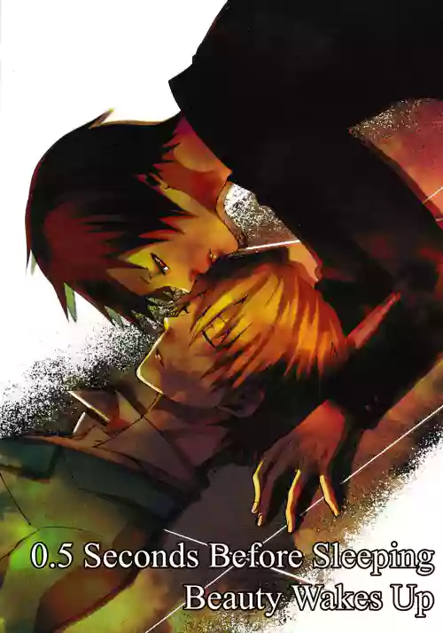 0.5 Seconds Before Sleeping Beauty Wakes Up – Durarara!! dj