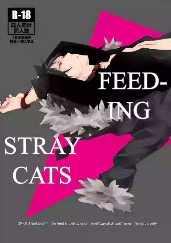 Feeding Stray Cats - Durarara doujin cover