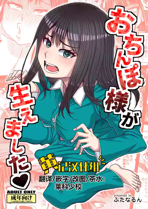 Ochinpo-sama ga Haemashita