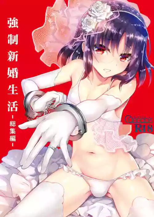 Kyousei Shinkon Seikatsu -Soushuuhen-