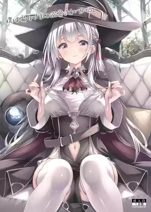 Boku wa Majou-sama ni Dekiai Sareteiru.
