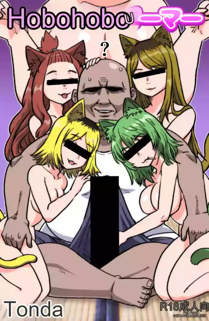 Nekoneko Dreamer cover