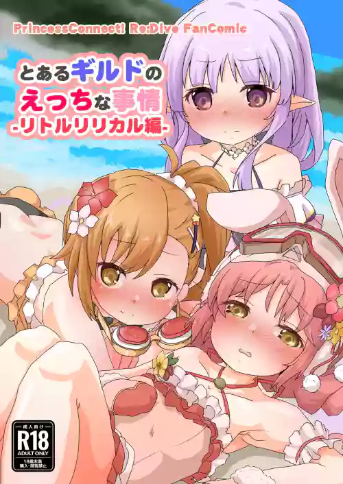 とあるギルドのえっちな事情-リトルリリカル編-（DL版）
