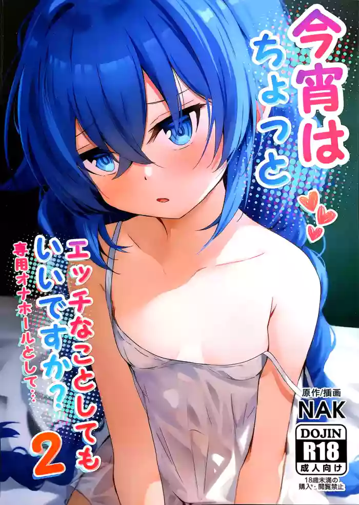 Koyoi wa Chotto Ecchi na Koto Shite mo Ii desu ka? Senyou Onahole to Shite... 2 cover