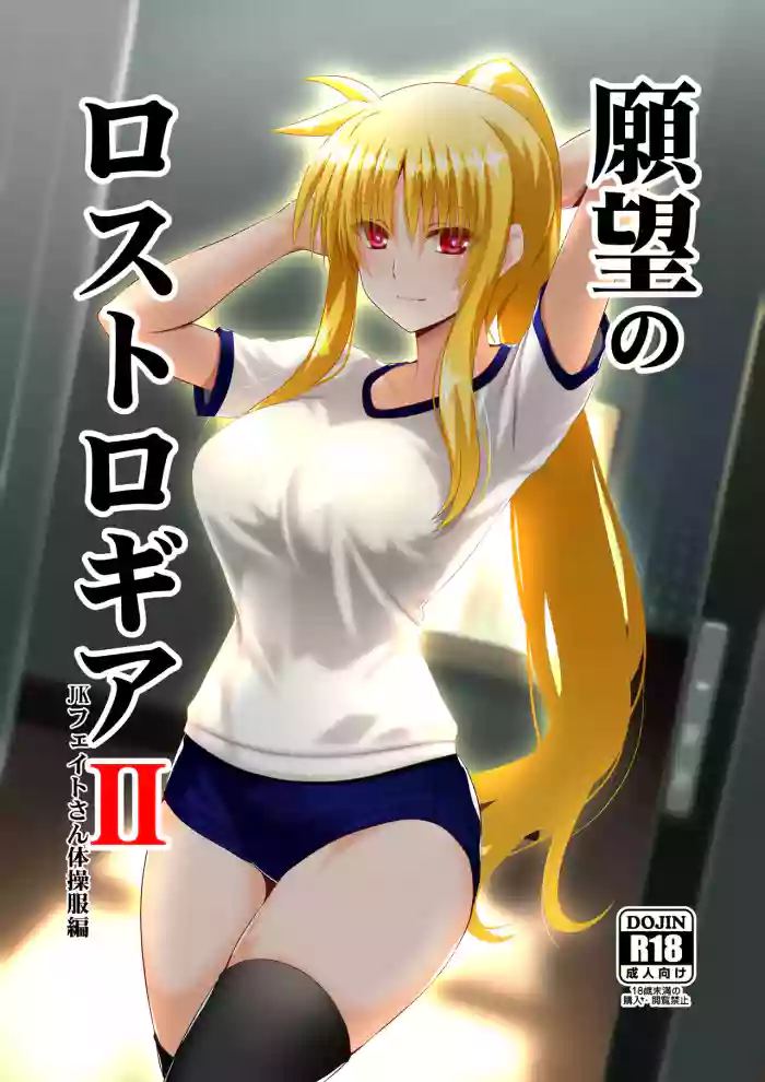 Ganbou no Lost Logia II JK Fate-san Taisoufuku Hen cover