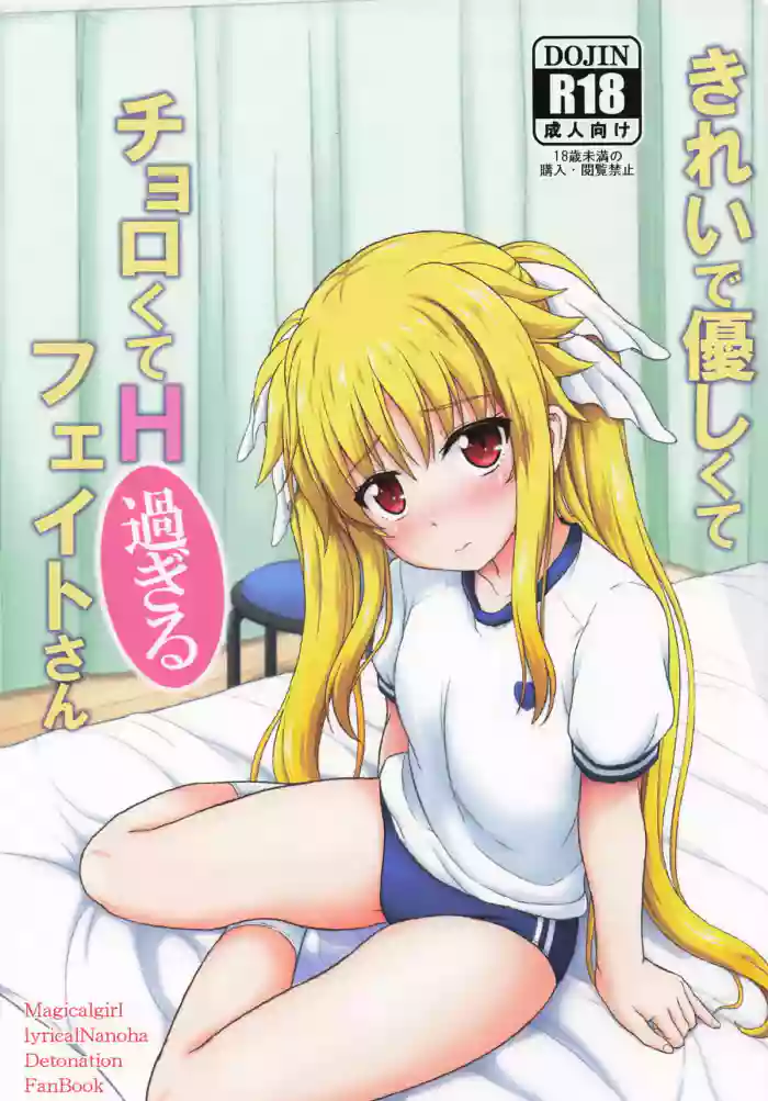 Kirei de Yasashikute Chorokute H Sugiru Fate-san cover