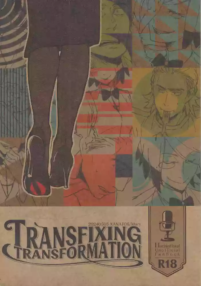 TRANSFIXING TRANSFORMATION cover