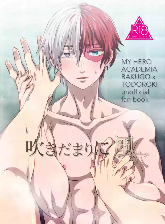 吹きだまりに風穴 cover