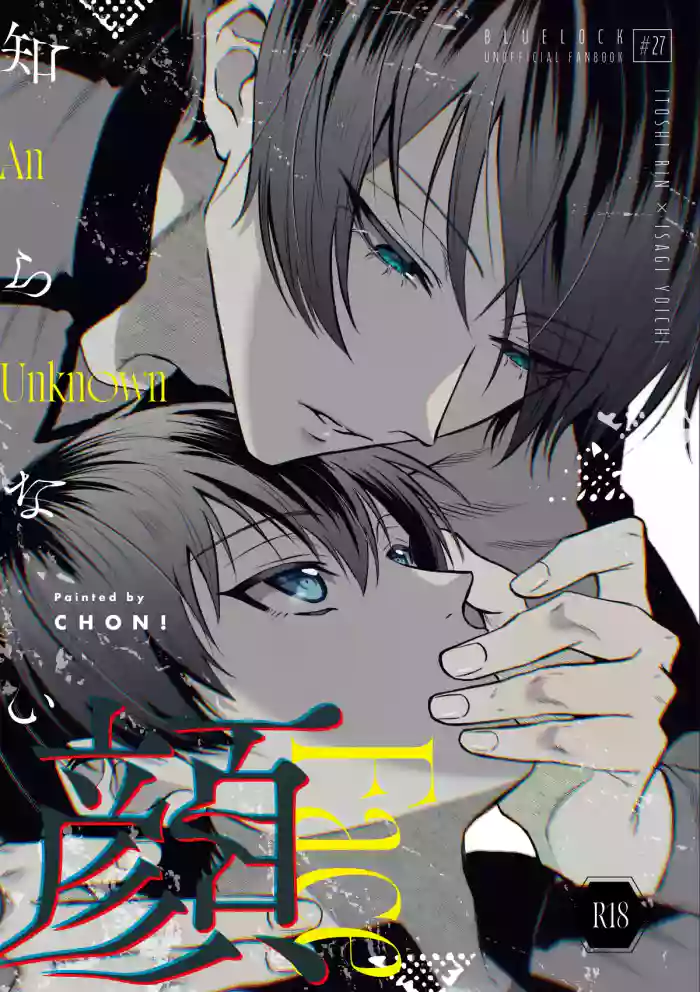 An Unknown Face cover