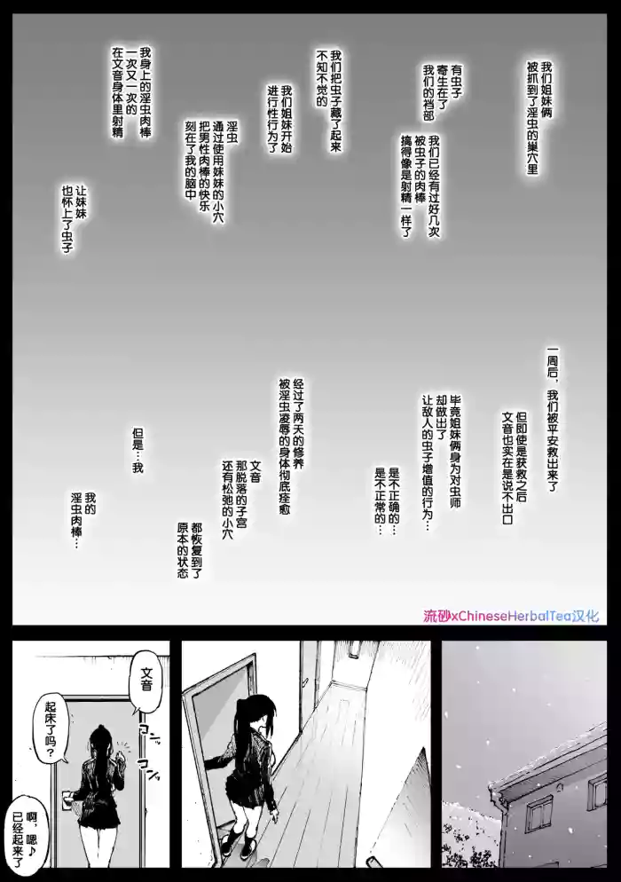 Kouishou no Shimai cover