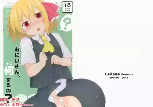 Onii-san, Nani Suru no? | 哥，这什么啊