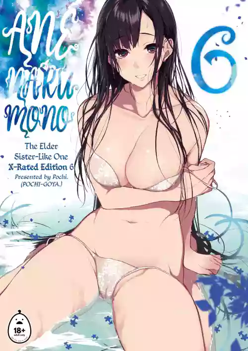 姉なるもの 6