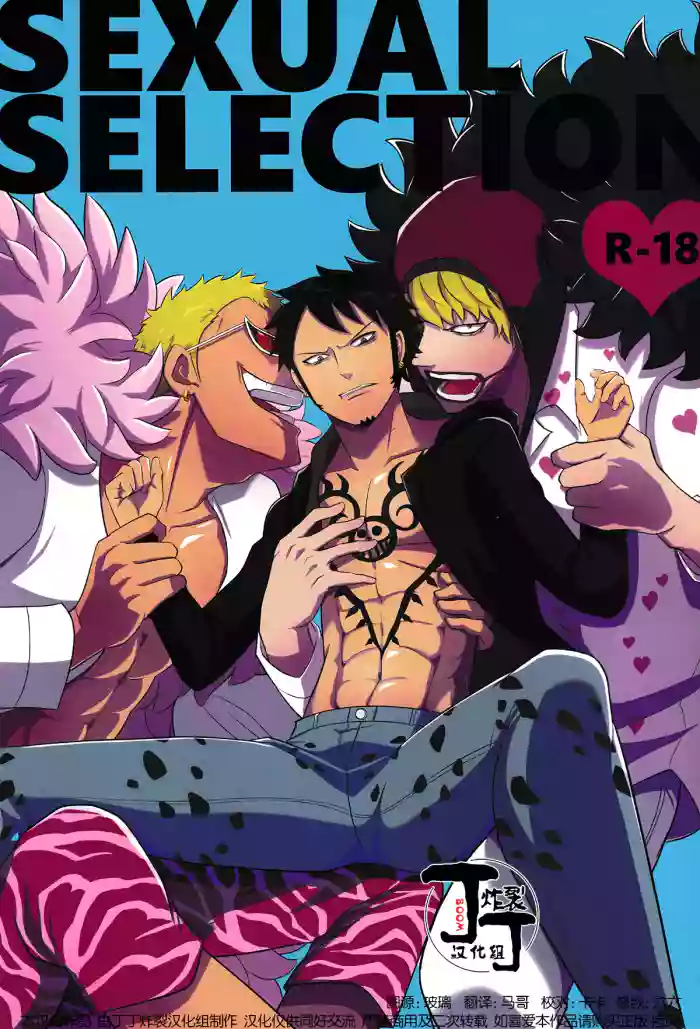 SEXUAL SELECTION cover