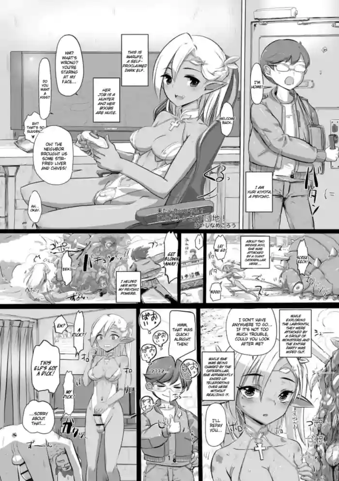 Hibarigaoka Housing Complex! cover