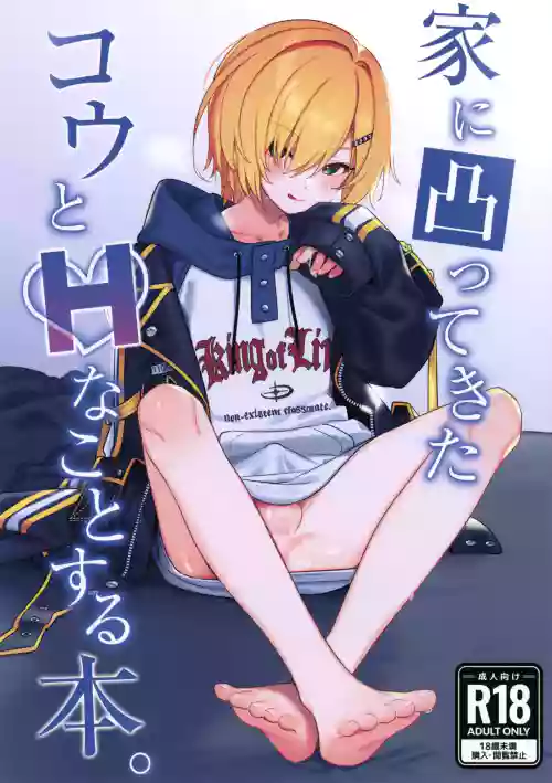 Ie ni Totte Kita Kou to Ecchi na Koto Suru Hon.