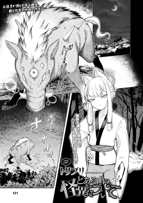 Toaru Yama no Kaii ni Tsuite | The Supernatural Anomaly of a Certain Mountain