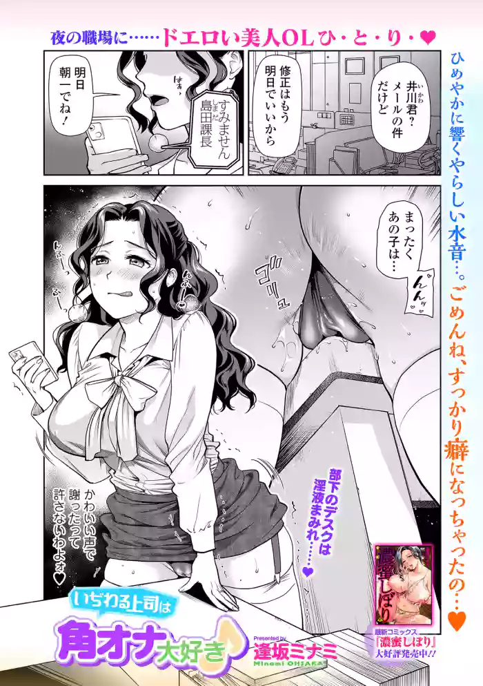 いぢわる上司は角オナ大好き♪ cover