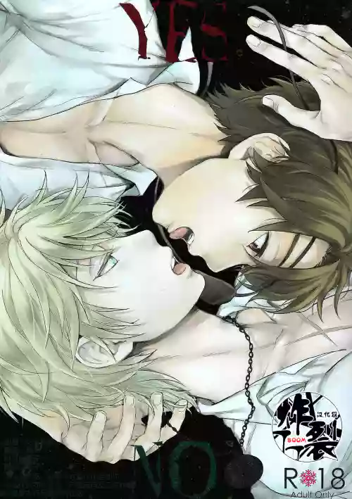 YES/NO