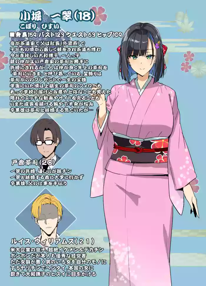 Chadou Yamato Nadeshiko NTR P01~22 cover
