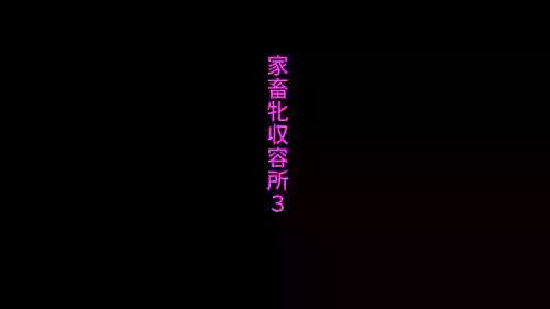 家畜牝収容所3