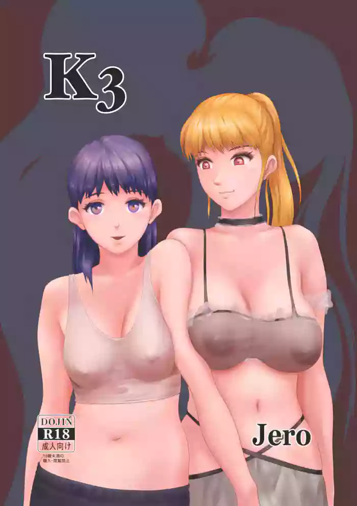 K3 cover