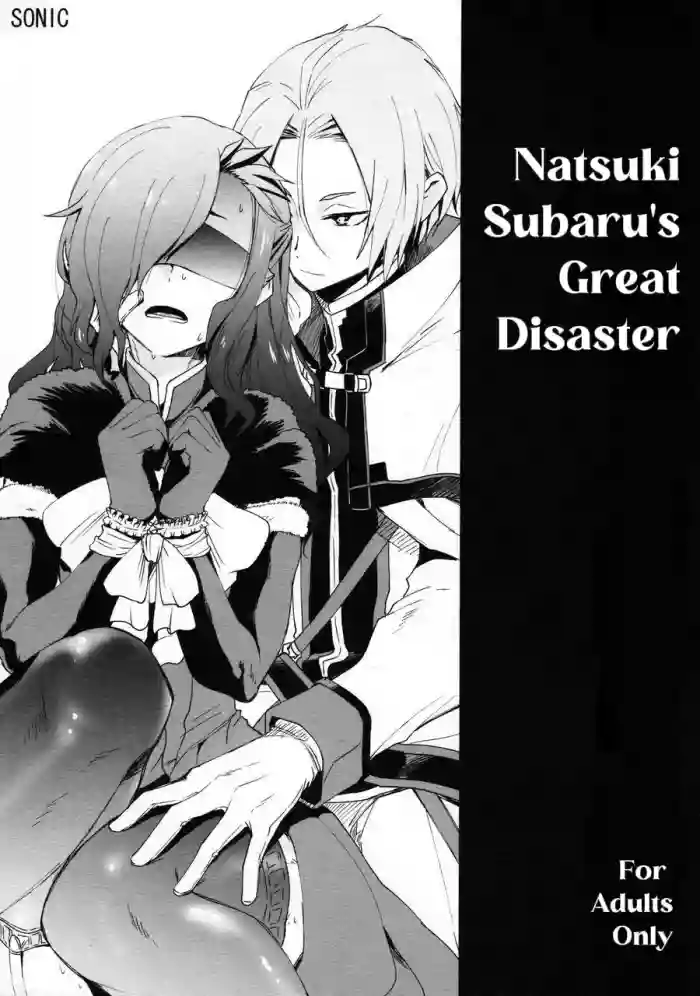 Natsumi Schwarz no Sainan cover