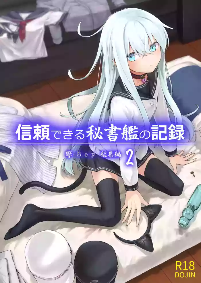 Shinrai Dekiru Hishokan no Kiroku Hibiki・Bep Soushuuhen 2 cover