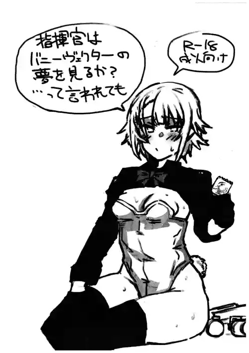 Shikikan wa Bunny Vector no Yume o Miru ka... tte Iwaretemo