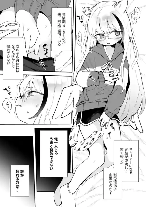 TSkko no Hatsujouki