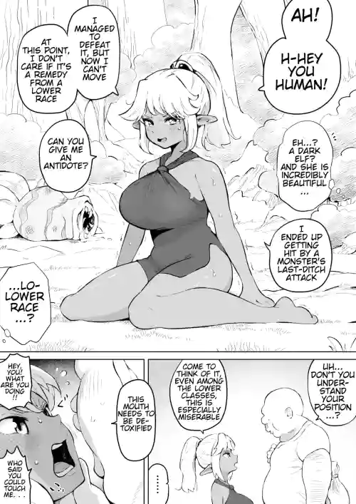 Ugokenai Dark Elf ni Suki Katte suru Hanashi | A Story About Doing Whatever You Want to a Dark Elf Who Can't Move