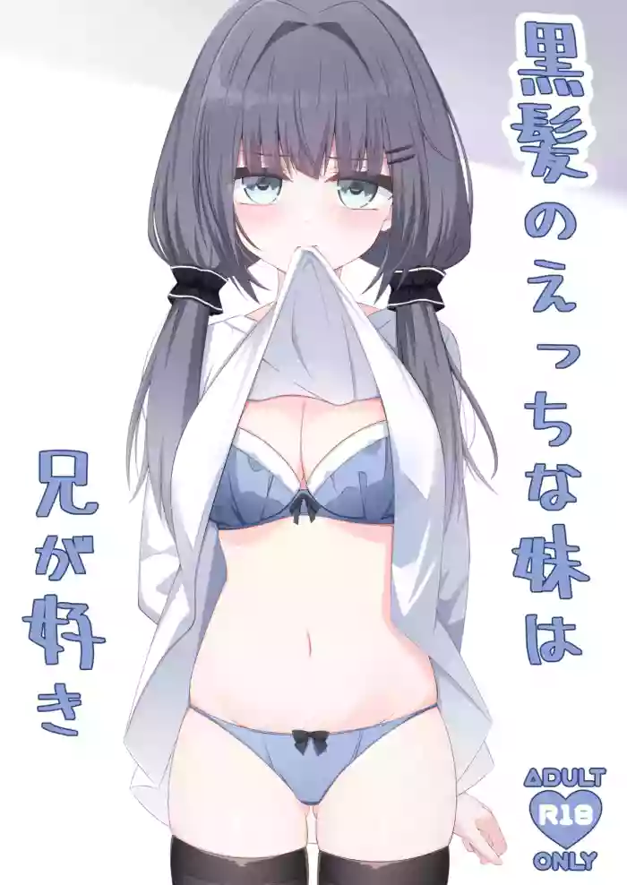 Kurokami no Ecchi na Imouto wa Ani ga Suki cover